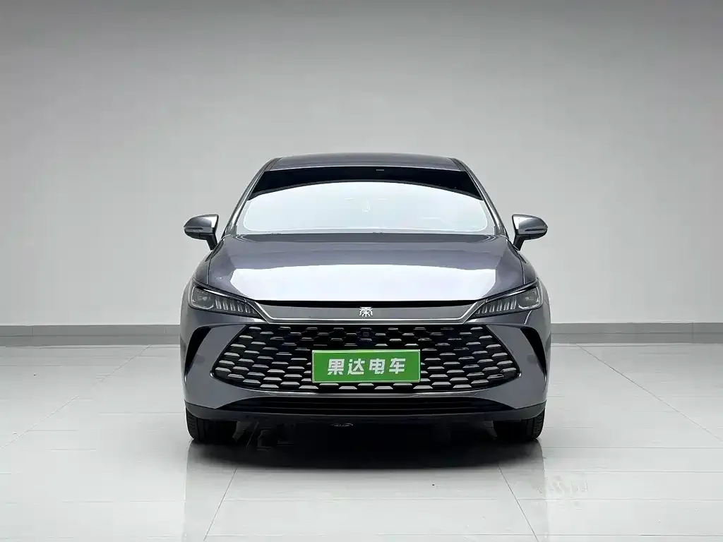 BYD Qin PLUS — фото 2