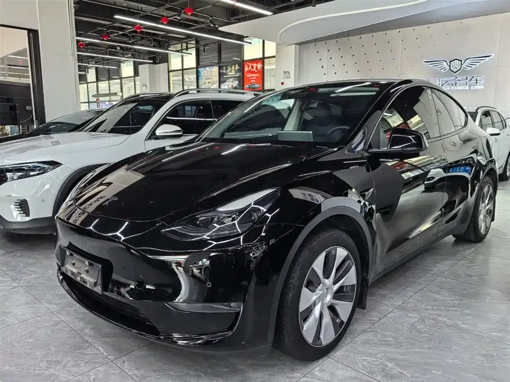 Tesla Model Y — фото 1