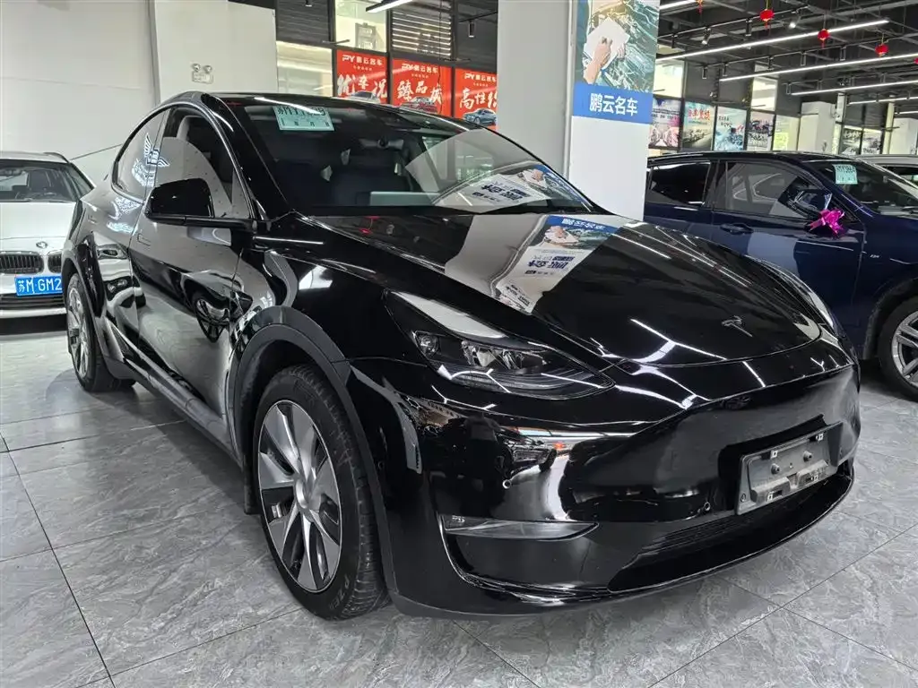 Tesla Model Y — фото 4