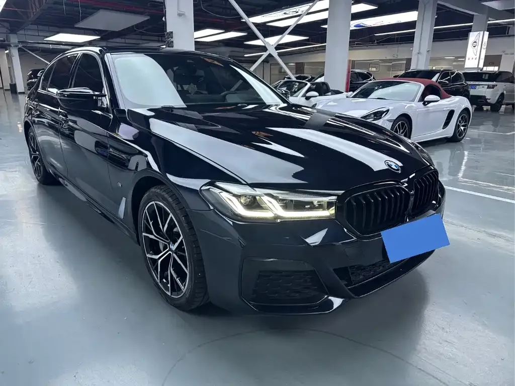 BMW 5 Series 2021 из CN, фото 2