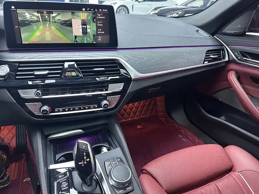 BMW 5 Series 2021 из CN, фото 9