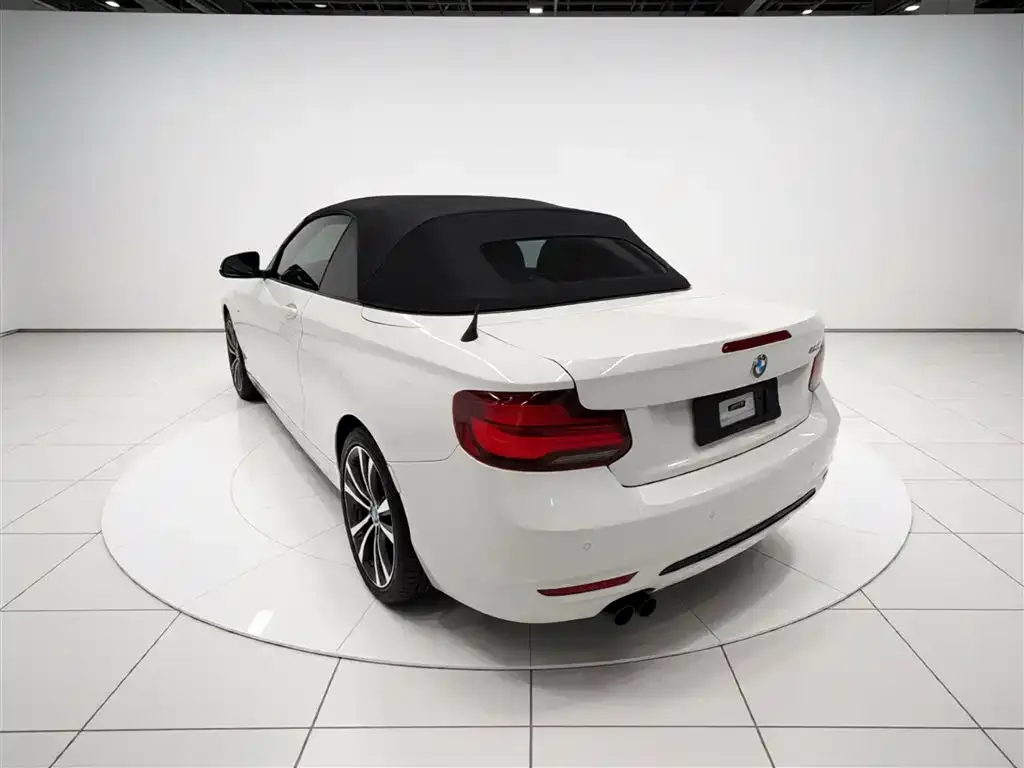 BMW 2 Series (Import) 2021 из CN, фото 10