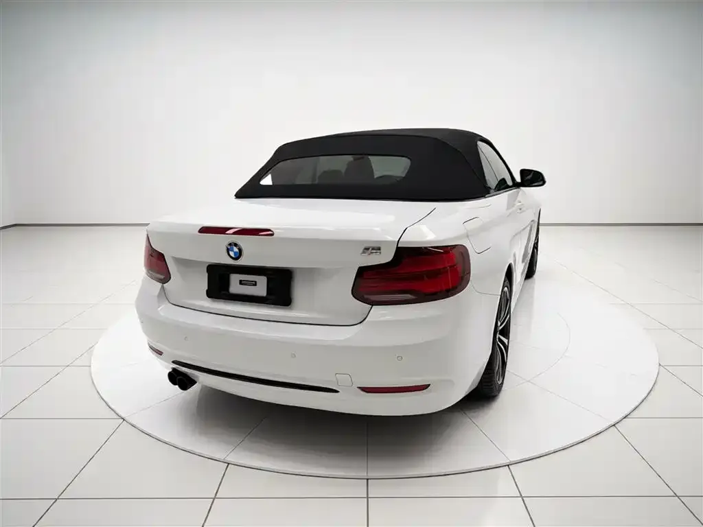 BMW 2 Series (Import) 2021 из CN, фото 7