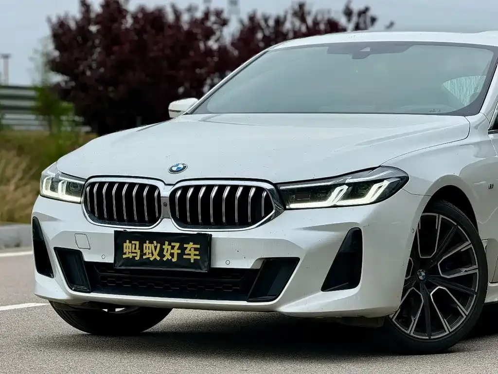 BMW 6 Series GT 2021 из CN, фото 8