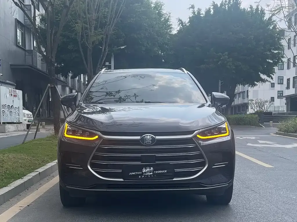 BYD Tang New Energy 2023 из CN, фото 5