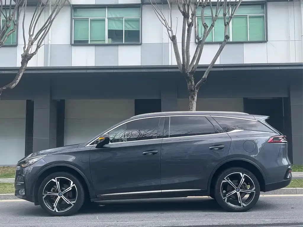 BYD Tang New Energy 2023 из CN, фото 2