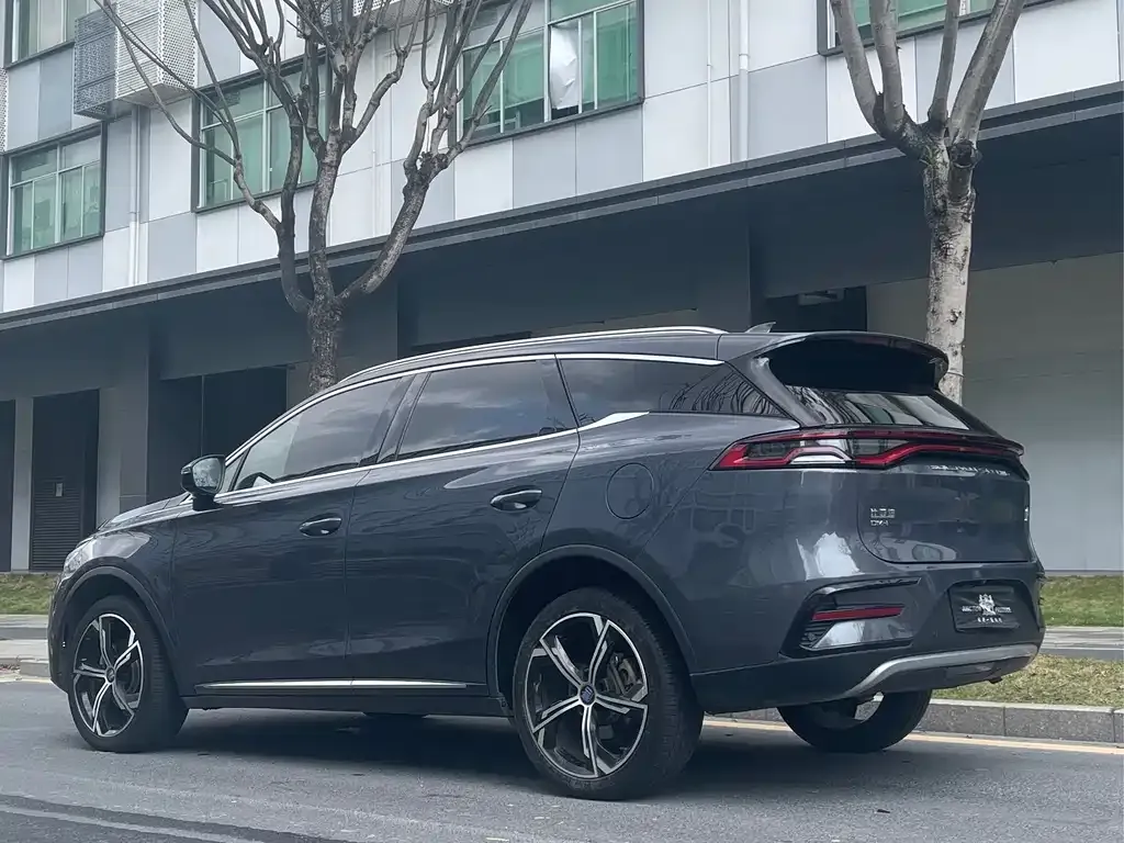 BYD Tang New Energy 2023 из CN, фото 10