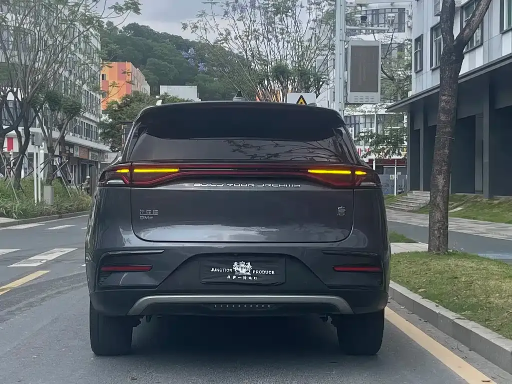 BYD Tang New Energy 2023 из CN, фото 9