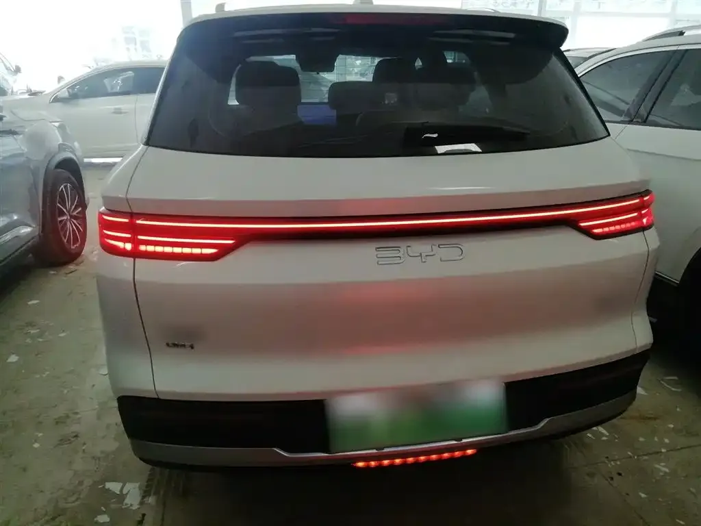 BYD Pro New Energy — фото 3