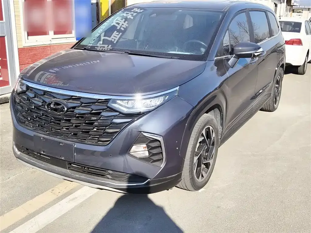 Hyundai Custo — фото 10