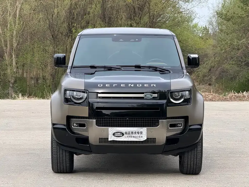 Land Rover Defender — фото 6