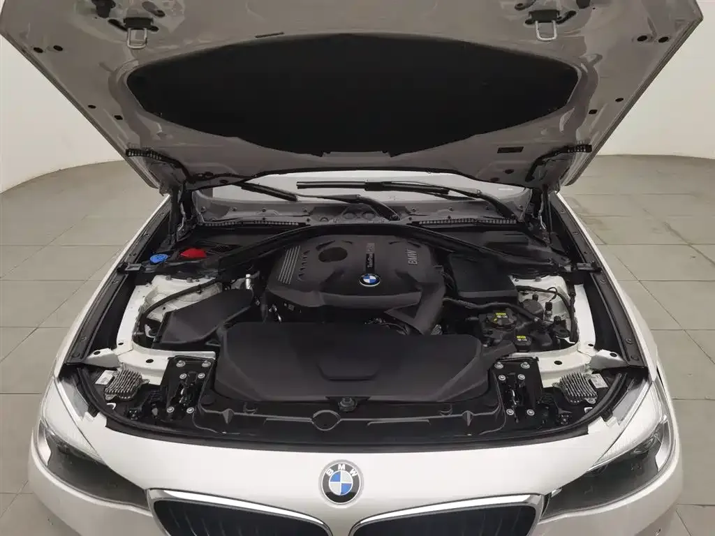 BMW 3 Series GT 2021 из CN, фото 6