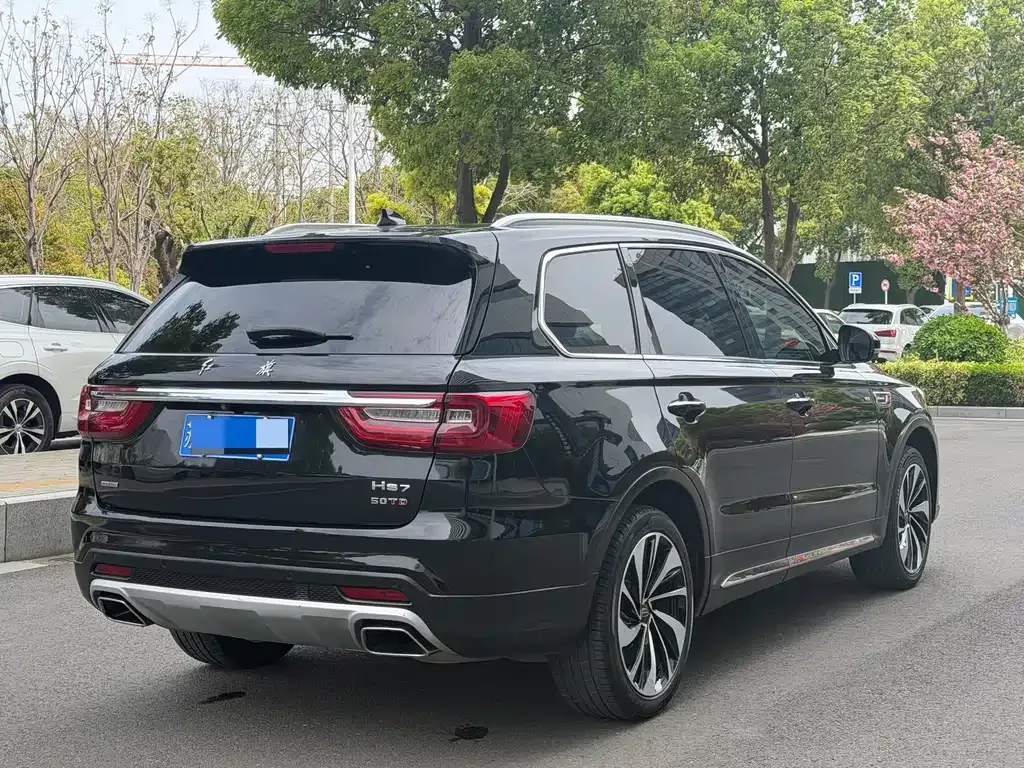 Hongqi HS7 — фото 10