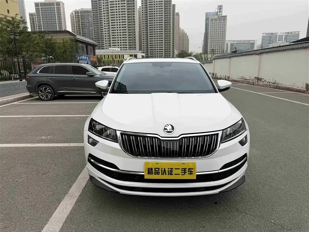 Skoda Karoq 2022 из CN, фото 6