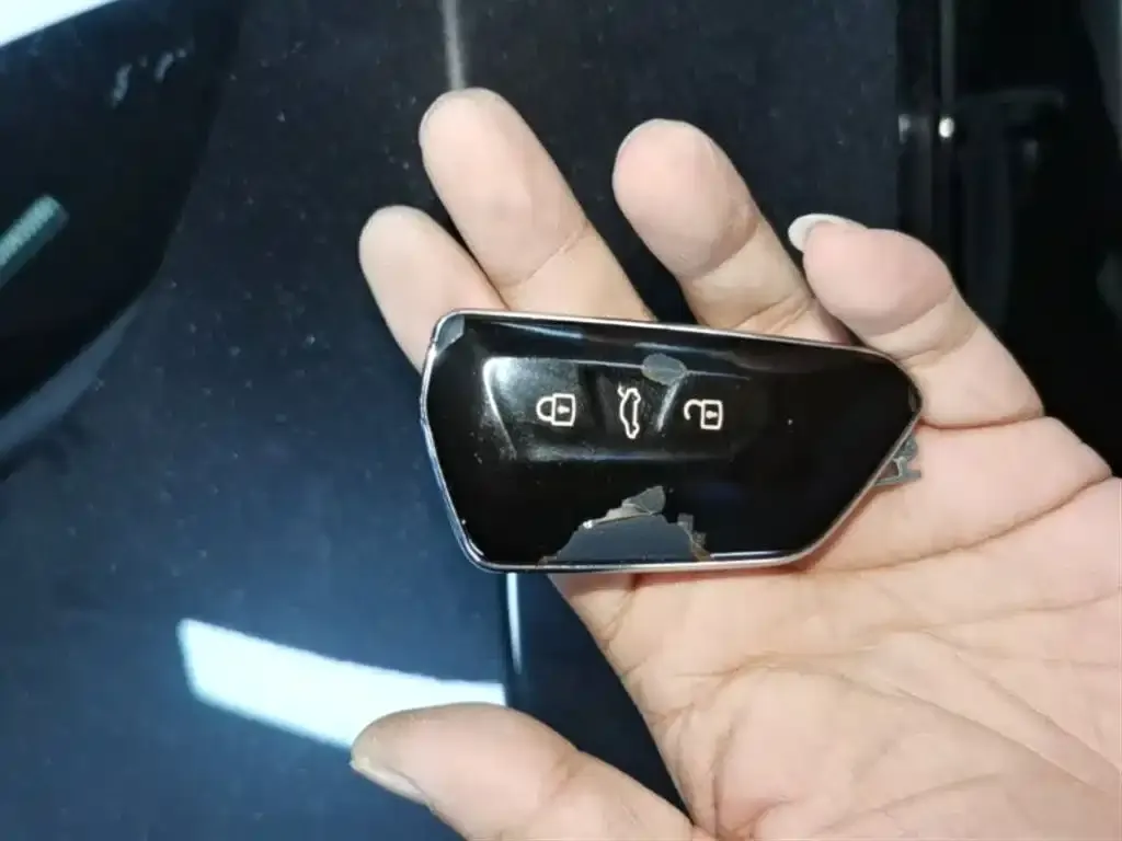 Volkswagen Tavendor 2023 из CN, фото 5