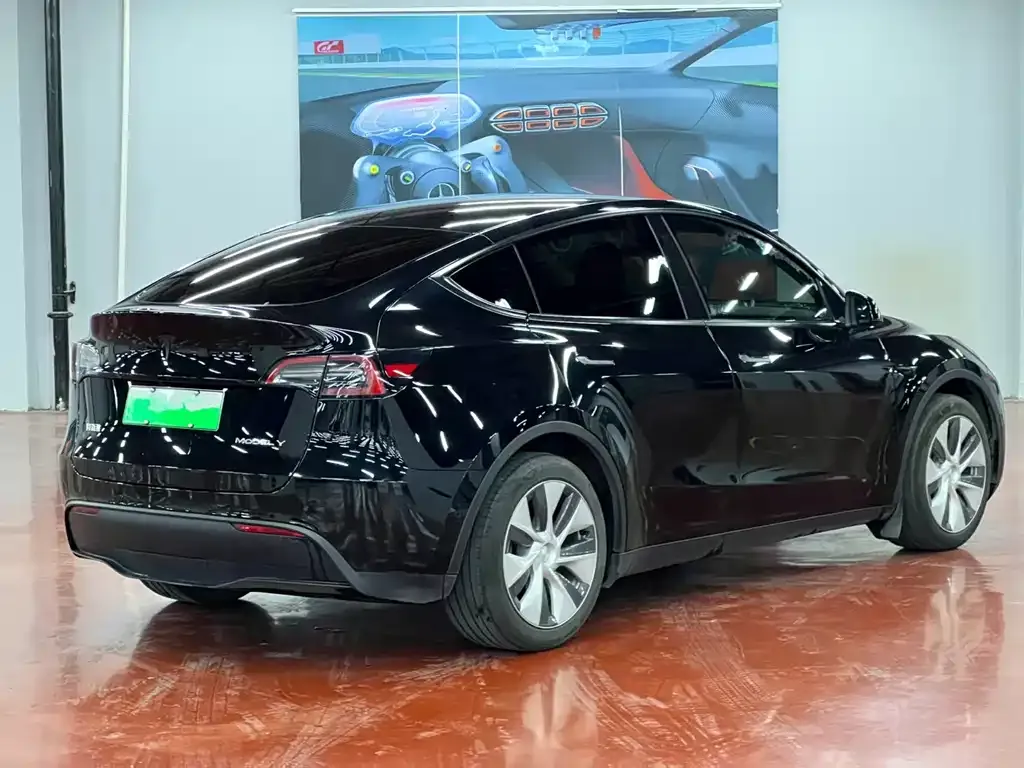 Tesla Model Y 2023 из CN, фото 5