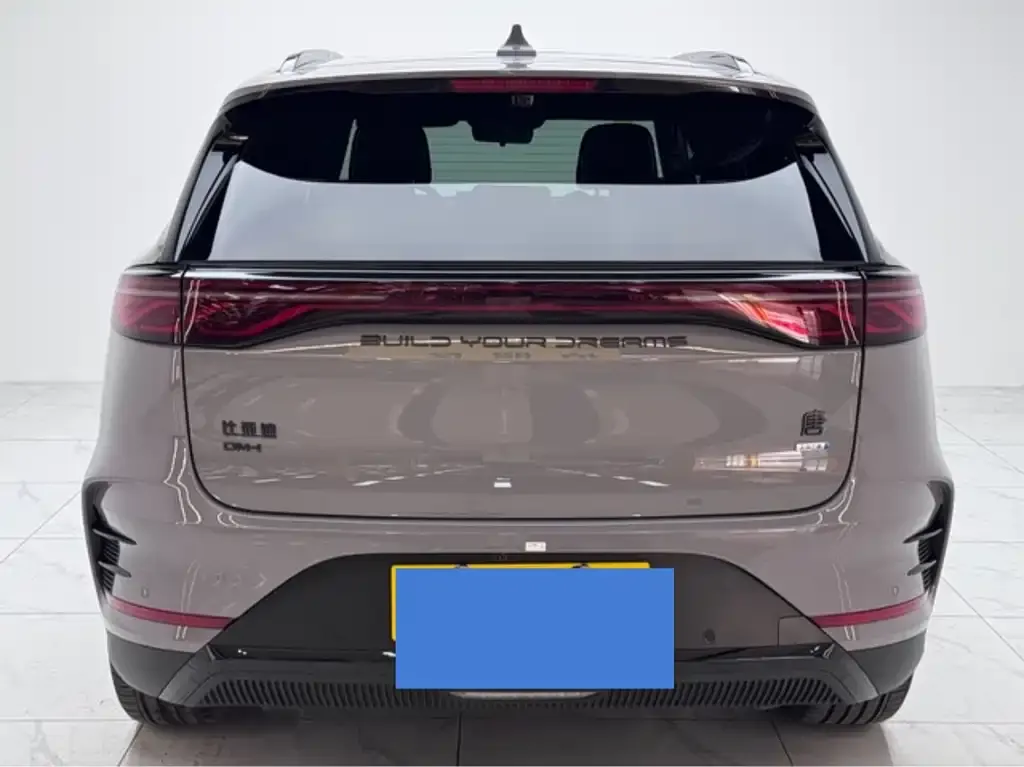 BYD Tang New Energy — фото 8