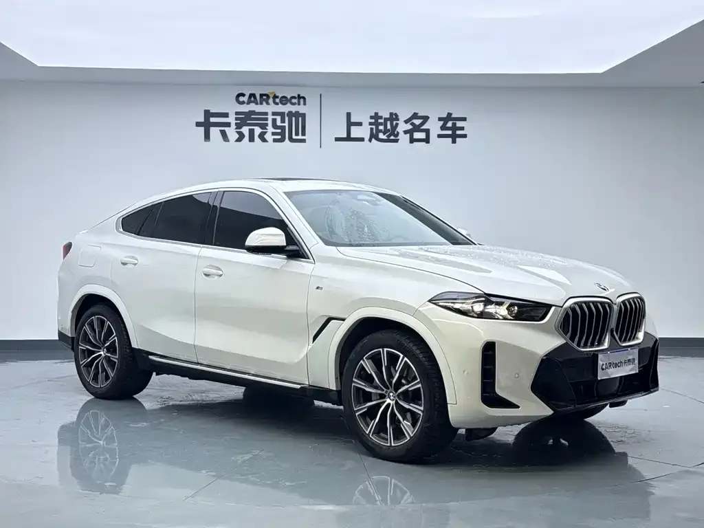 BMW X6 — фото 3