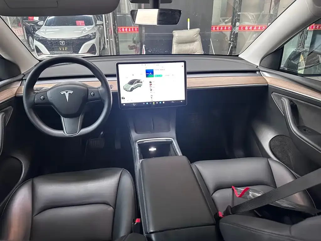 Tesla Model Y — фото 3