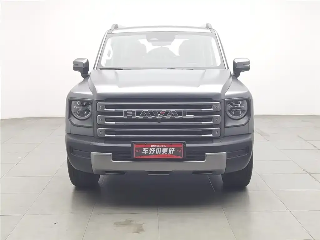 Haval Menglong New Energy 2024 из CN, фото 8
