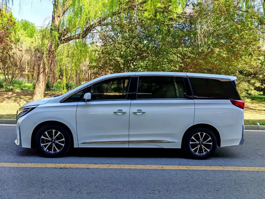 GAC Motor Trumpchi M8 — фото 10