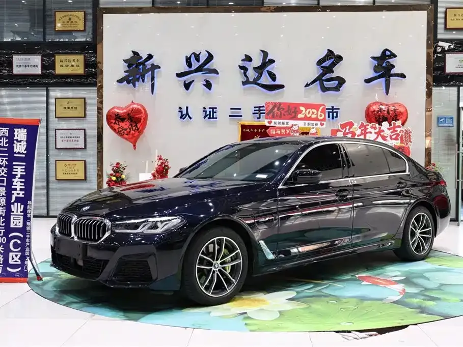 BMW 5 Series New Energy — фото 1