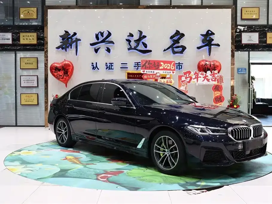 BMW 5 Series New Energy — фото 10