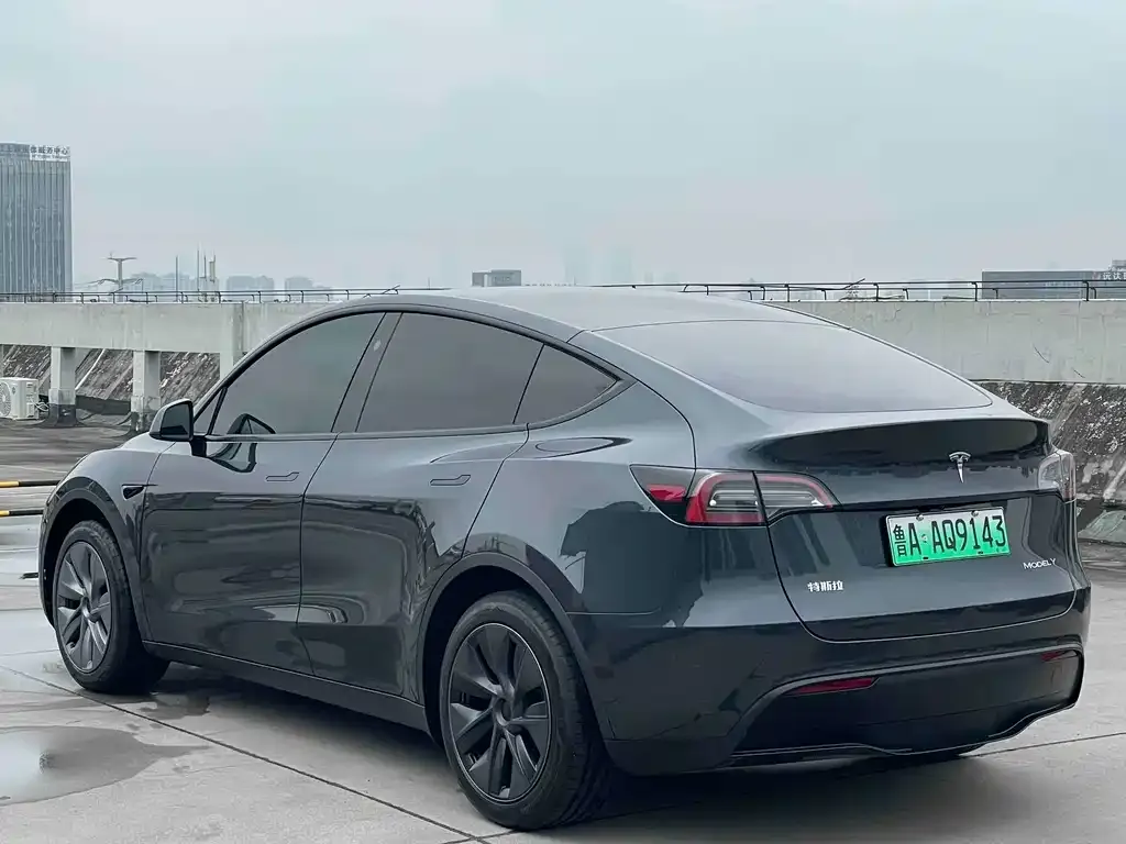 Tesla Model Y — фото 10