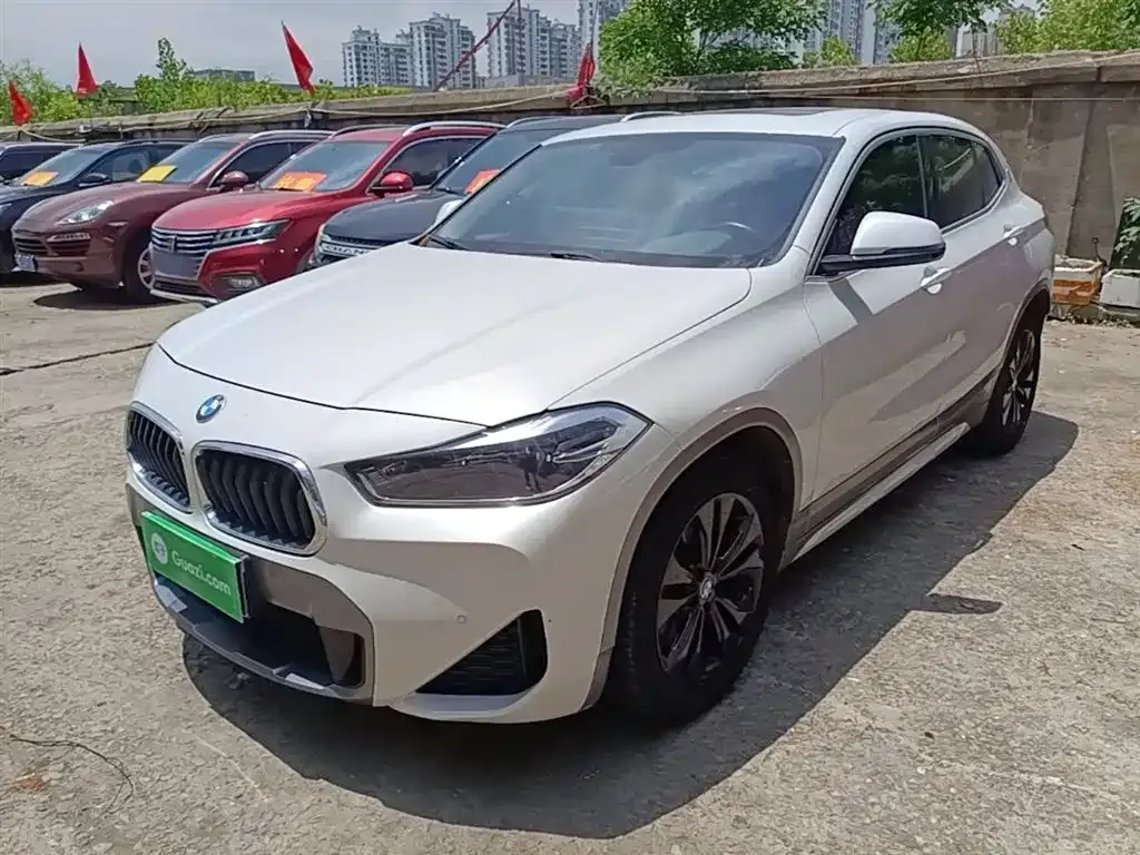 BMW X2 — фото 1