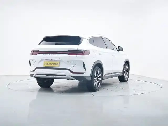 BYD PLUS New Energy — фото 8