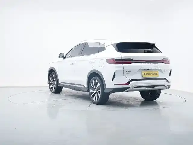 BYD PLUS New Energy — фото 2