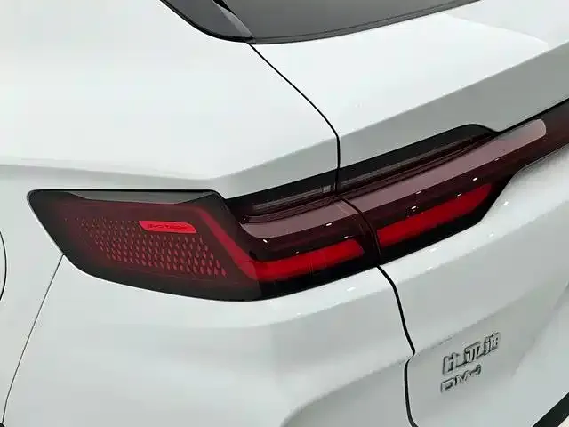BYD PLUS New Energy — фото 10