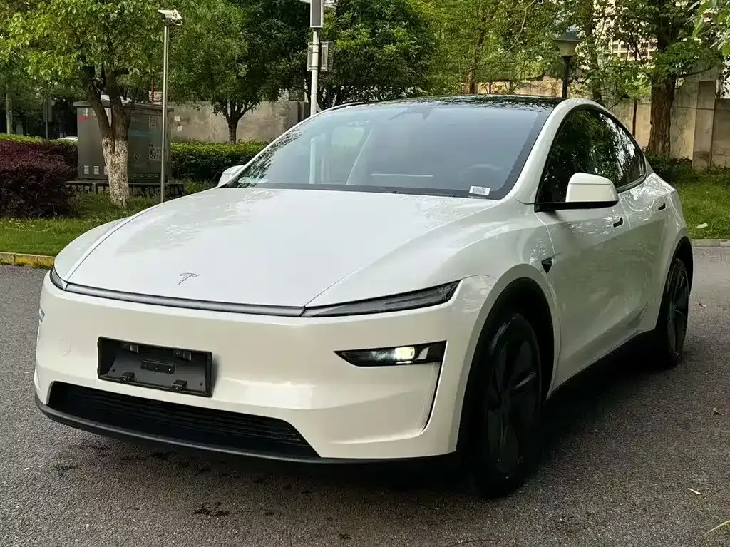 Tesla Model Y — фото 9