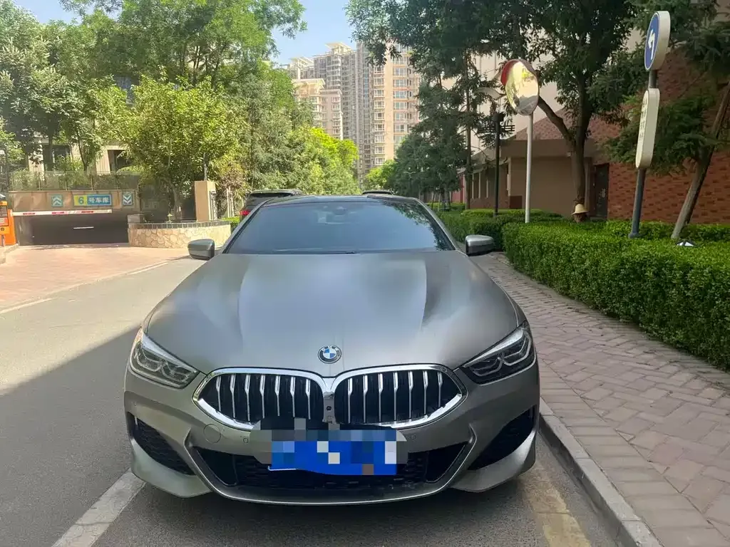 BMW 8 Series 2021 из CN, фото 3