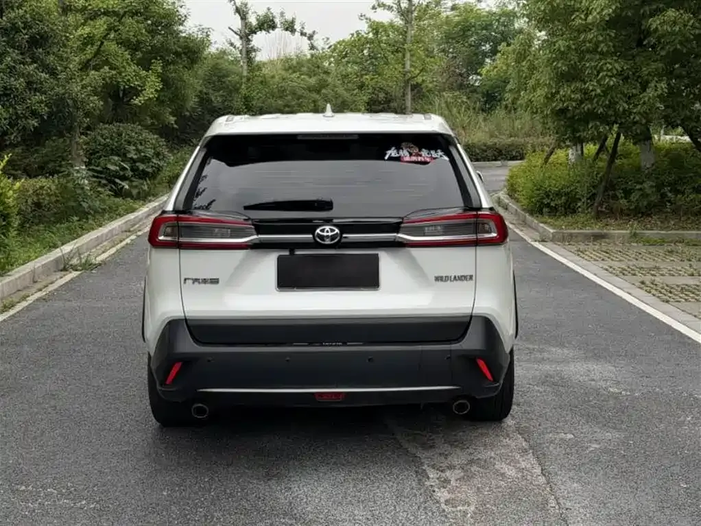 Toyota Wildlander 2023 из CN, фото 9