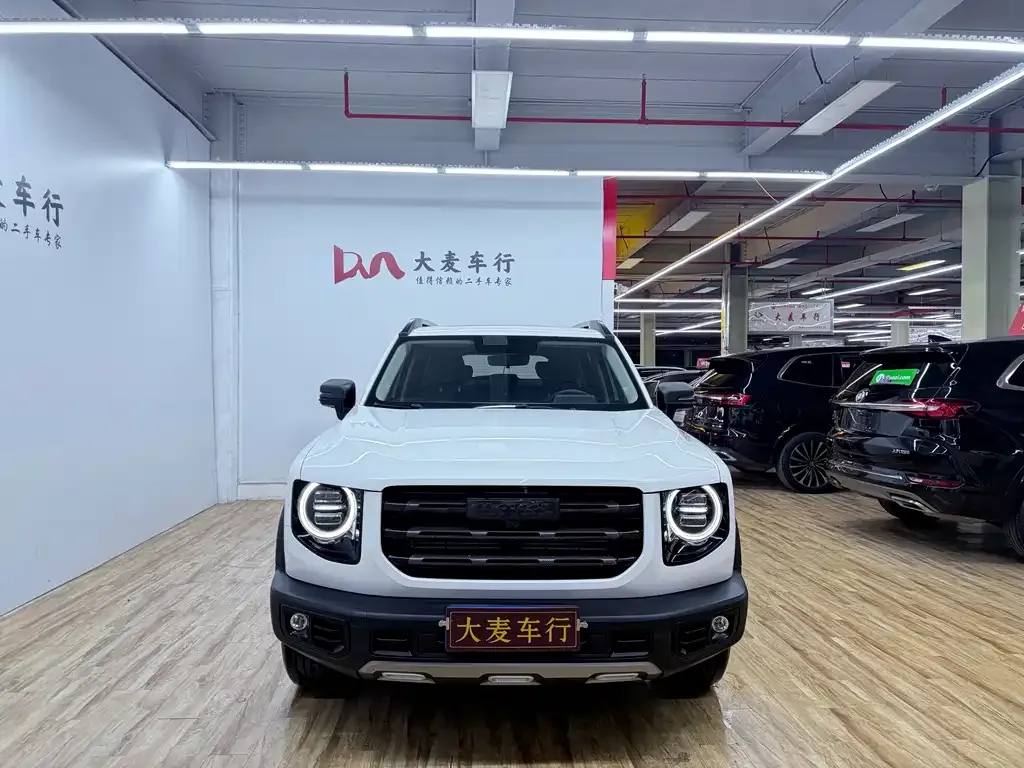 Haval Big Dog — фото 8
