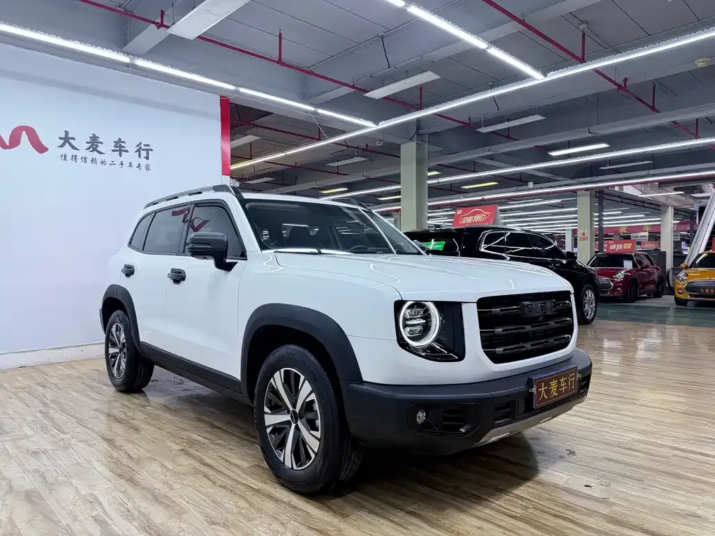 Haval Big Dog — фото 10