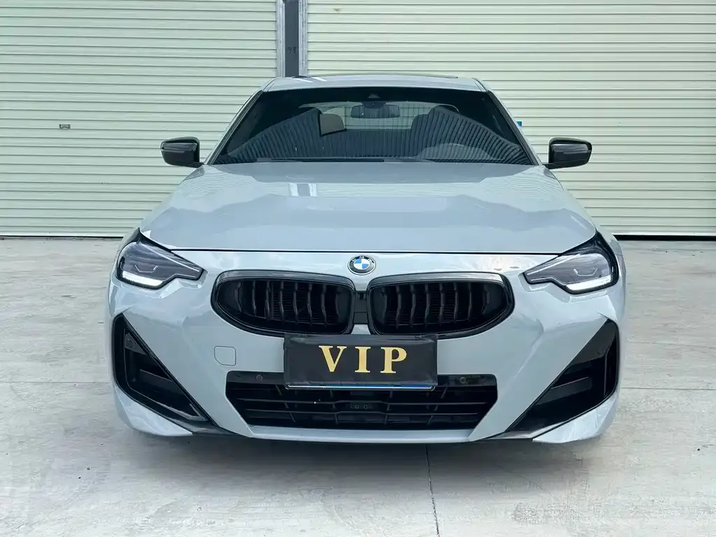 BMW 2 Series (Import) 2022 из CN, фото 8