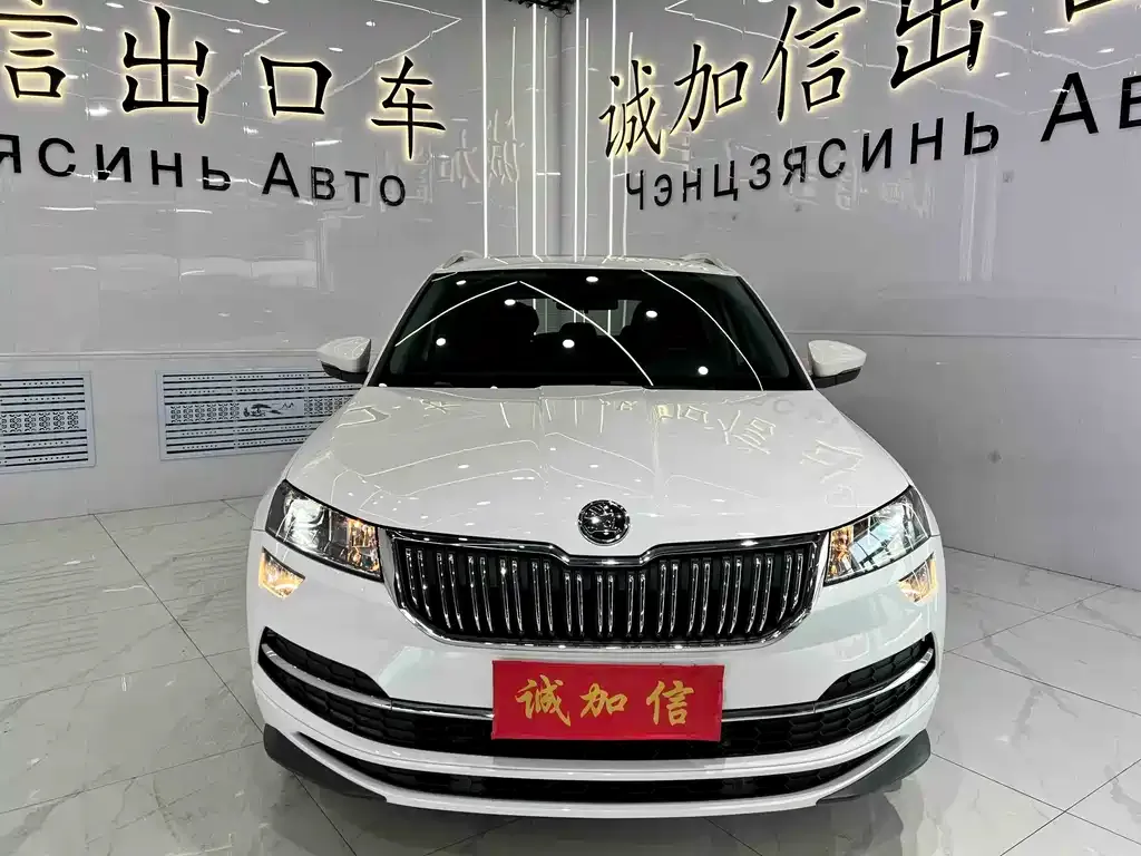 Skoda Karoq — фото 7