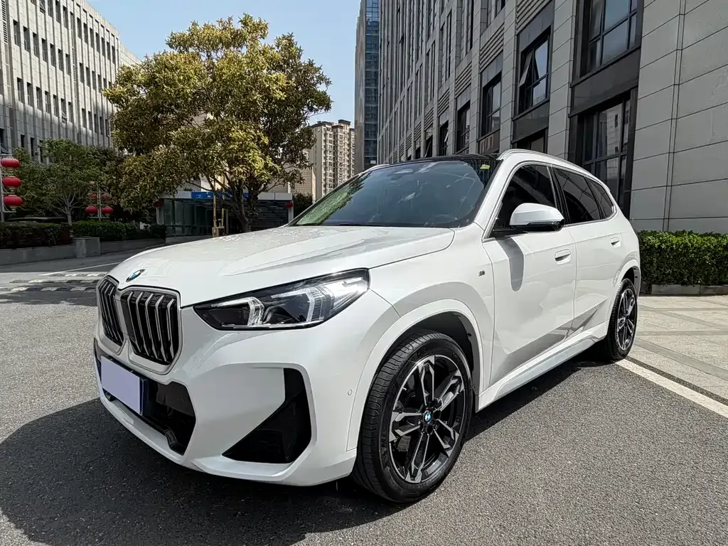 BMW X1 — фото 1