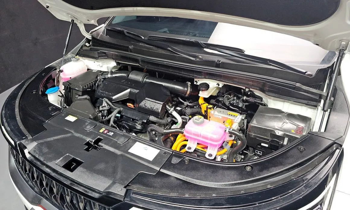 Kia Carnival — фото 10