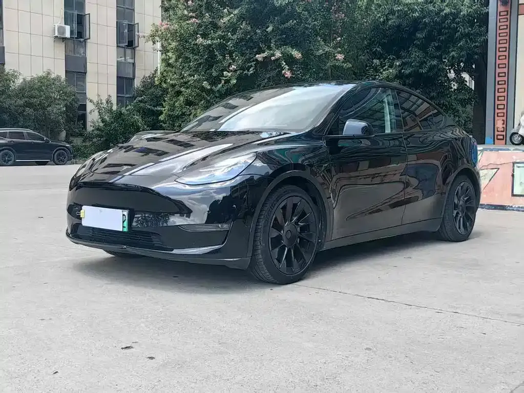 Tesla Model Y 2021 из CN, фото 1