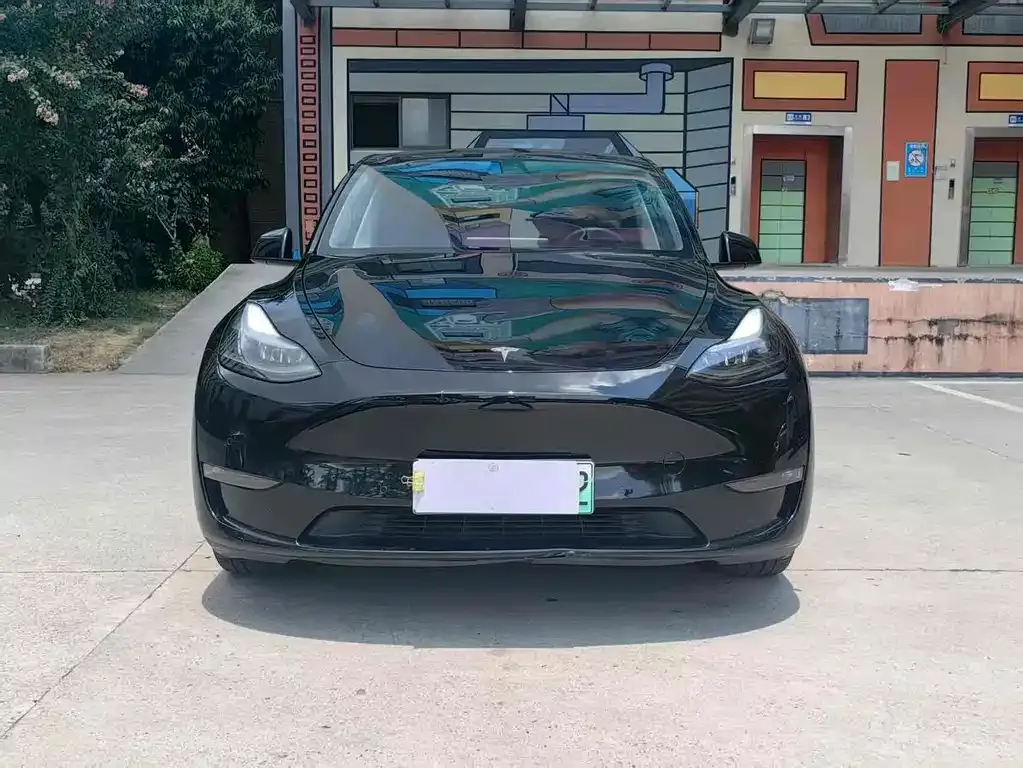 Tesla Model Y 2021 из CN, фото 6