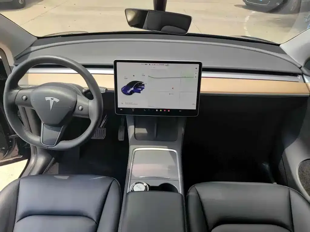 Tesla Model Y 2021 из CN, фото 3