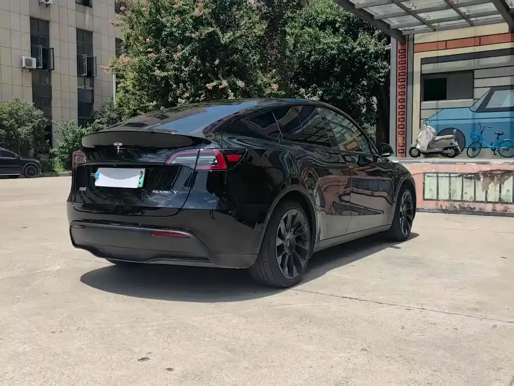 Tesla Model Y 2021 из CN, фото 4