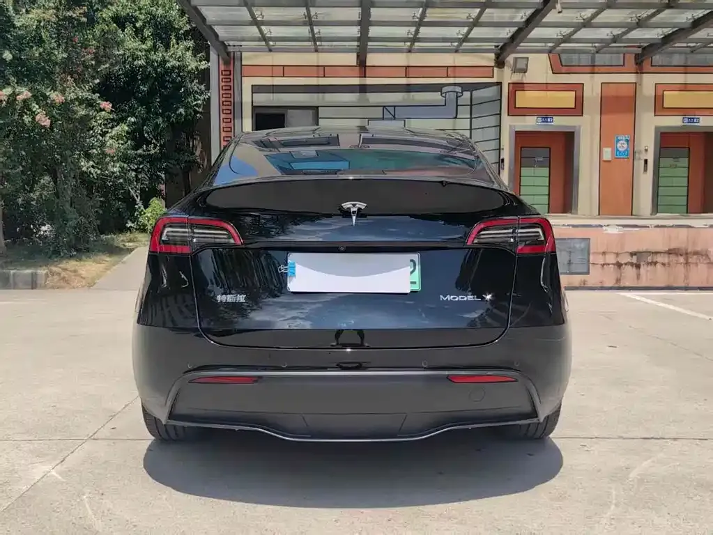 Tesla Model Y 2021 из CN, фото 8