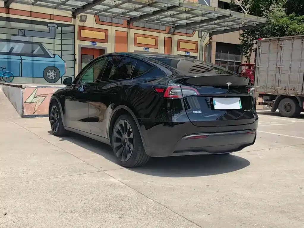 Tesla Model Y 2021 из CN, фото 9