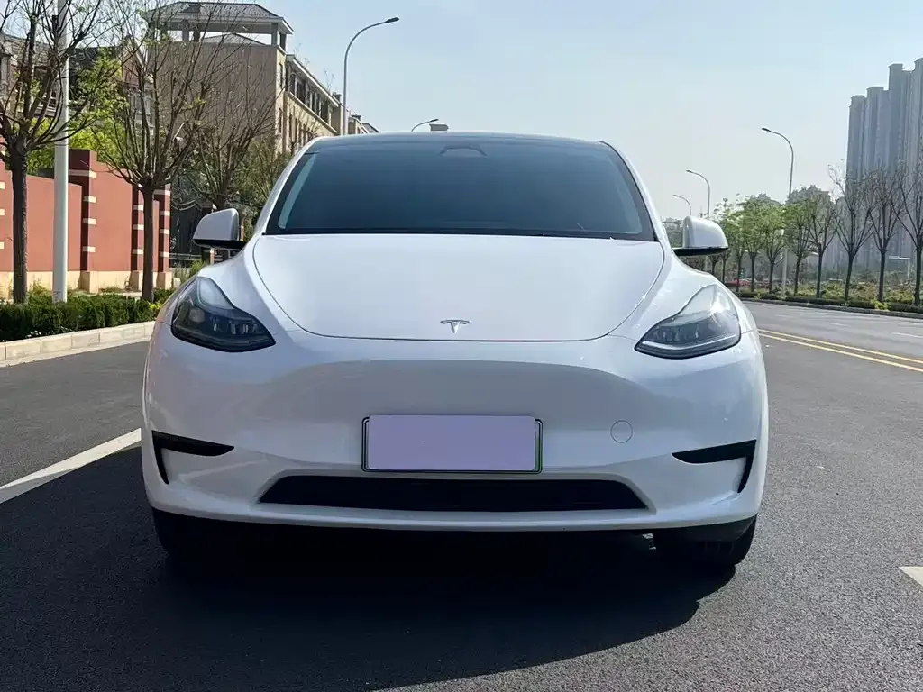 Tesla Model Y — фото 10