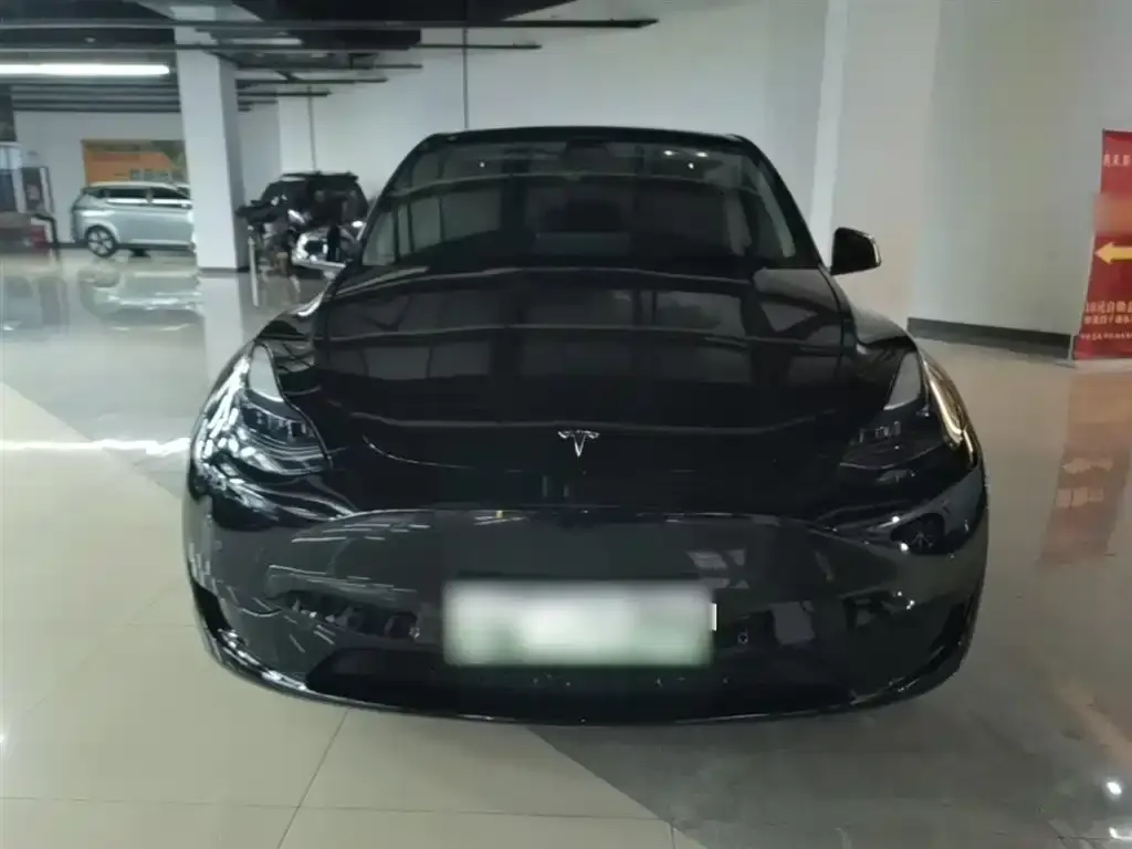 Tesla Model Y — фото 5