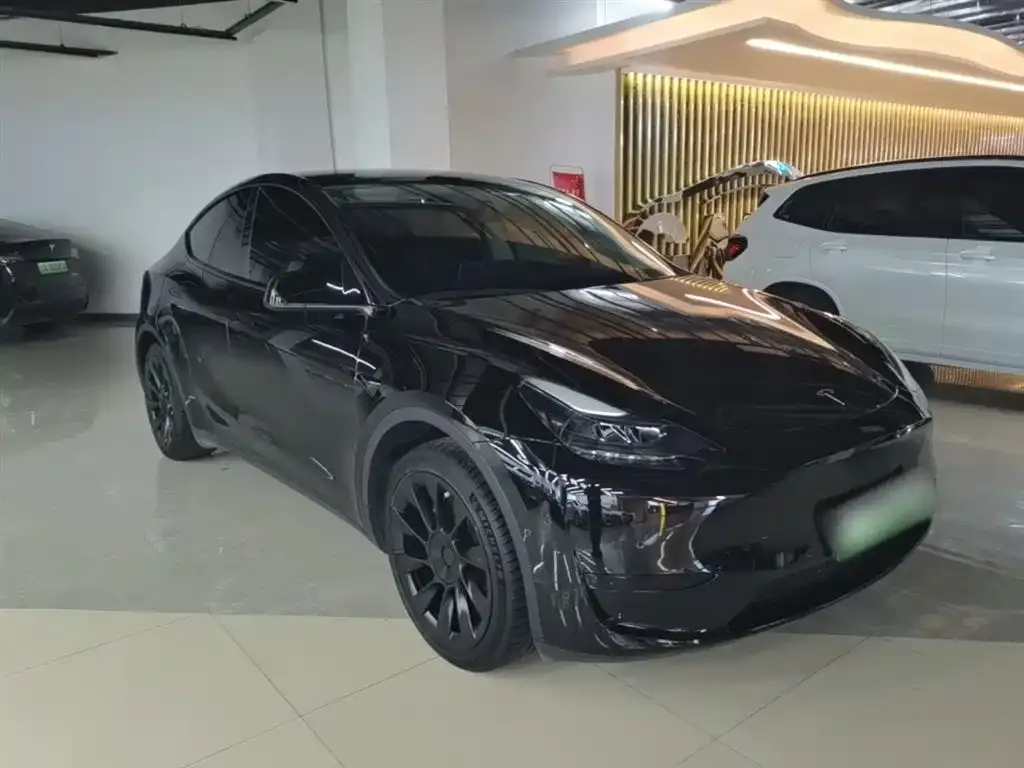 Tesla Model Y — фото 3